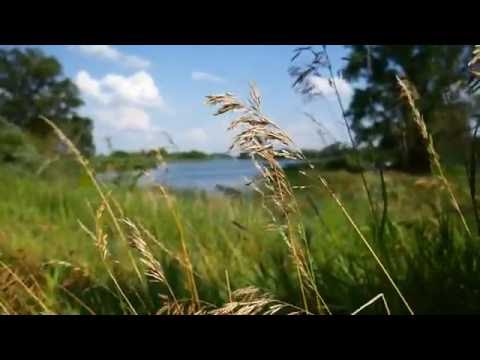 Nature Video 1