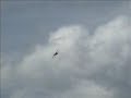 Showtime Aircraft R/C Airplanes Airtrax G62