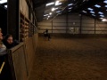 Hippeia YouTube channel