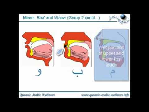 Key Origination - QAW Adult Tajweed Lesson 6 (1/2) - The Places of Origination Of The Arabic Alphabets Learn exactly where each letter sound originates from. This is one of th...