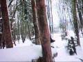 Battle of the Bulge (Braveheart soung)