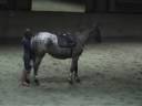 dollyrid3klar.wmv dollyrid3klar.wmv