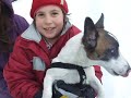 �ukulat-jack russell playing with his local friends