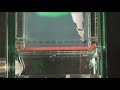 Loading Gel