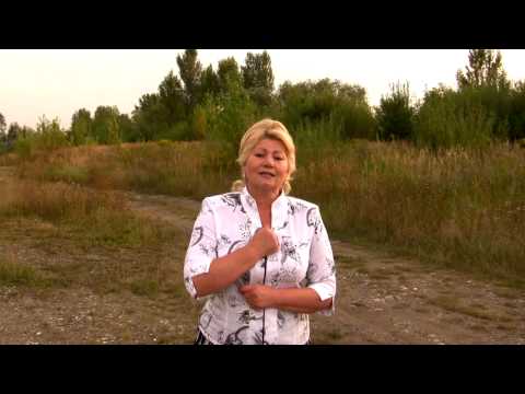 Скачать песню не для тебя мои зеленые глаза