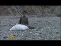 Poverty forces Afghan children into smuggling - 3 Oct 08