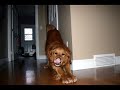 Pictures You've Probably Never Seen Before