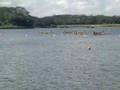 Mr500 Tiertiary/JC Women 12 Crew Semi 2
