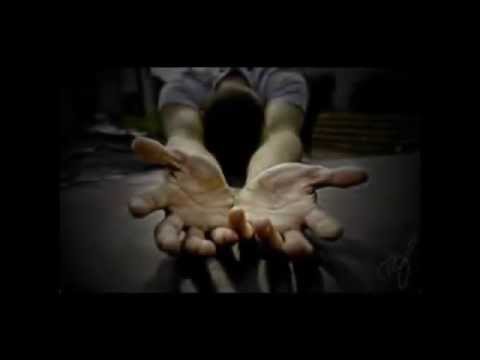 how to read the bible in a year