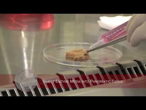 how to isolate human insulin