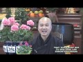 Hải Đảo Tự Thân - Kỳ 1 - Phần 2