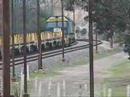81 class rail train
