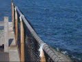 Zatoka Port Phillip