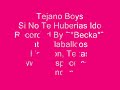 Tejano Boys - Si No Te Huberias Ido