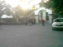 un skate k no le sabe a la tabla (gobindas)