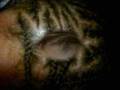 Hair
