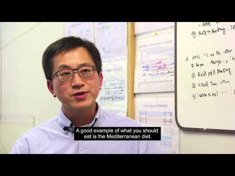 Professor Stephen (Cheng-en) Yu, PhD - Healthy diet