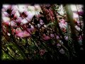 port-royal - flares pt. 3 video by Ewo