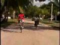 SLI COURTNY NINJ wheelie bicycles pt2 