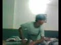 Pasto e la zanzara