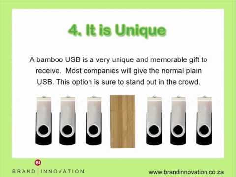 Eco Friendly Bamboo USB - Corporate Gift Ideas