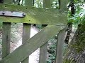 Rheinsteig Impression