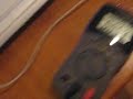 Testing the H-Bridge with a VOM