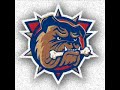 Hamilton Bulldogs Goal Horn