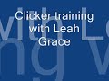 clicker training leah grace.wmv