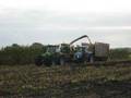 videos de mais 2008 deutz power