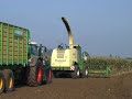 Krone ma�sdorser