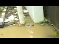 sman 8 banjir