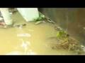 sman 8 banjir
