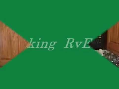 Imatge de previsualització de YouTube