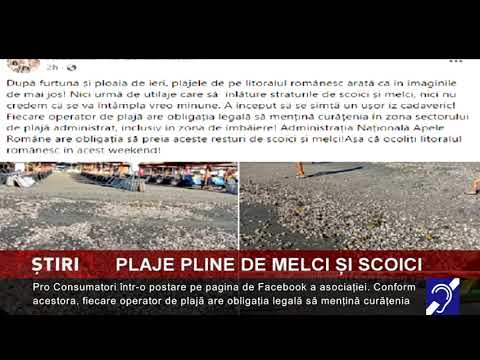Plaje pline de melci și scoici