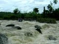 Cimandirii river, earthlike west java.