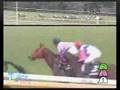 AJCC動画20