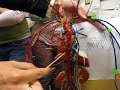 blood vessels: systemic circulation