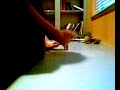 DC Finger Drumming