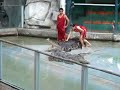 SriRacha Tiger Zoo, Thailand