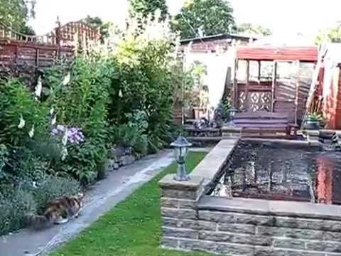 how to keep cats away from vegetable patch