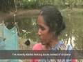 Duck rearing in Bangladesh