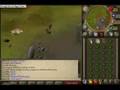 68 summoning/120 combat