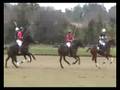 Windsor Polo Club