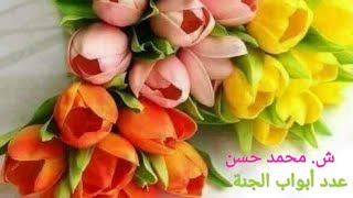 عدد أبواب الجنة ودليل ذلك من القرآن والسنة