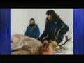 Sarah Palin Answers Questions About Gun rights