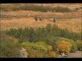 Killing grizzlies:  Fair chase in Alaska?
