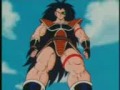 dragon ball de la rosa