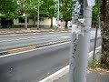 Via Nomentana Rino Gaetano 1