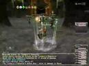 GreedySouls FFXI ZM4 Killing Tonberries